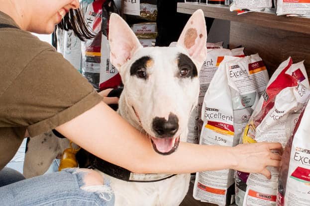 Tienda de alimento para perros y gatos en Culiacán - Excellent de Purina