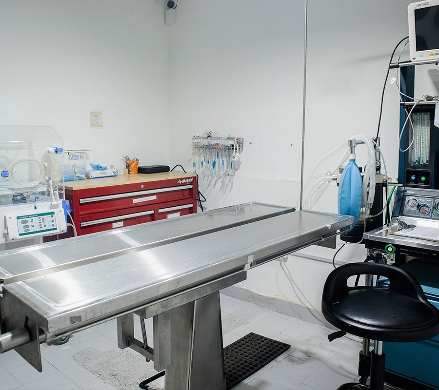 Quirófano veterinario, emergencias veterinarias, Hospital veterinario 24 horas