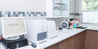 Consultorio veterinario