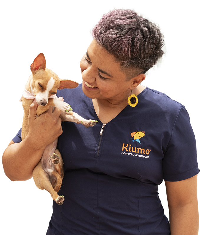 Médico Veterinario Zootecnista Especialista en Culiacán