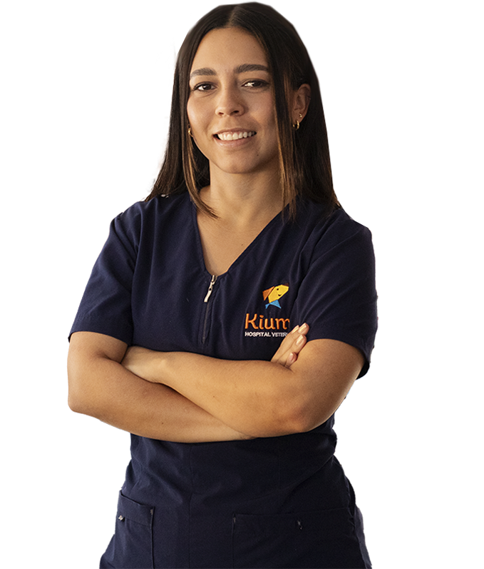 Médico Médico Veterinario Zootecnista en Culiacán