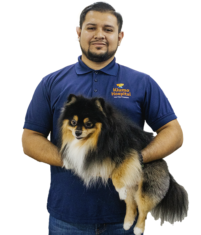 Grooming para mascotas, spa para mascotas