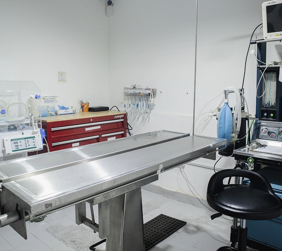 Kiumo Hospital veterinario - Quirófano para mascotas